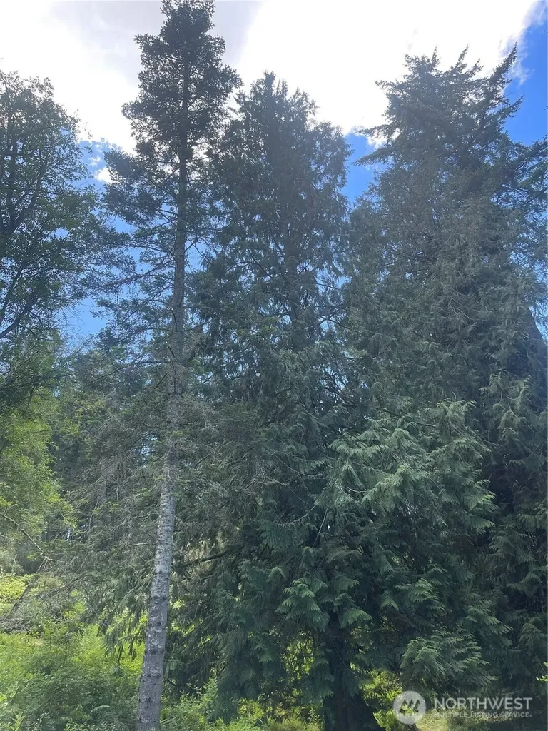 0 Reef Net Road Friday Harbor WA 98250