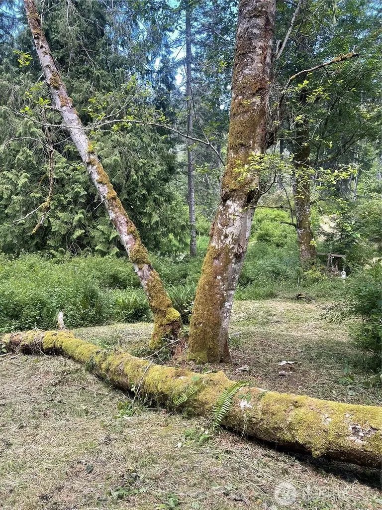0 Reef Net Road Friday Harbor WA 98250