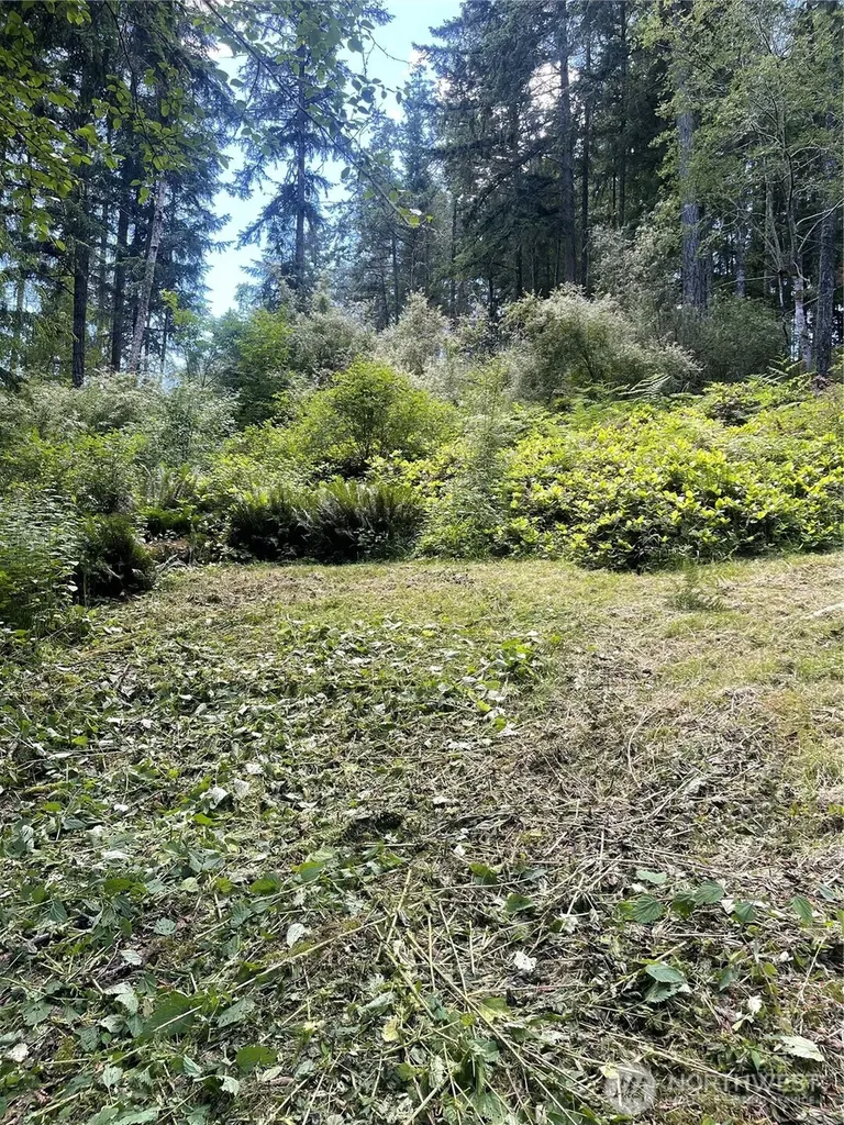 0 Reef Net Road Friday Harbor WA 98250