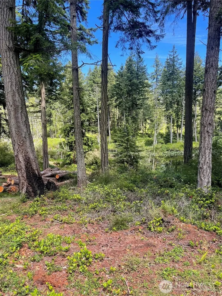 0 Reef Net Road Friday Harbor WA 98250