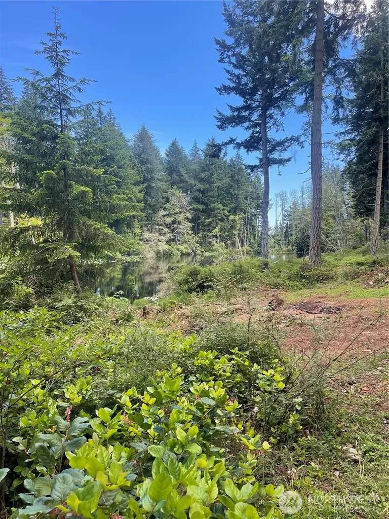 0 Reef Net Road Friday Harbor WA 98250