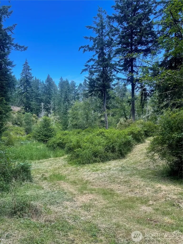 0 Reef Net Road Friday Harbor WA 98250