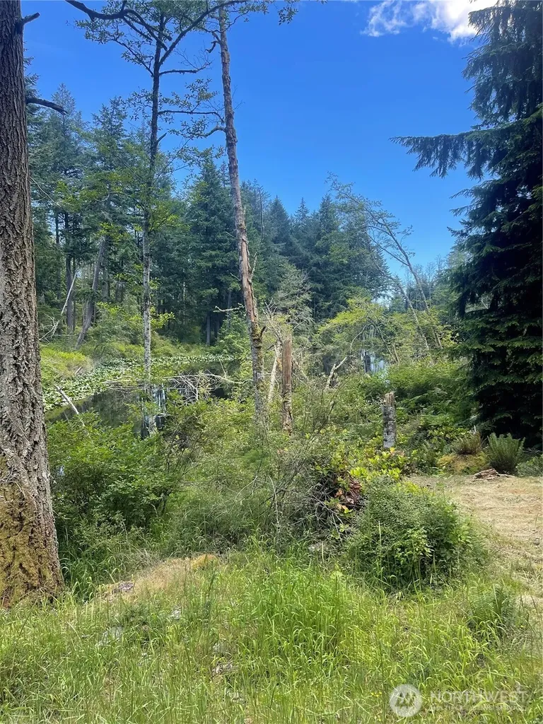 0 Reef Net Road Friday Harbor WA 98250