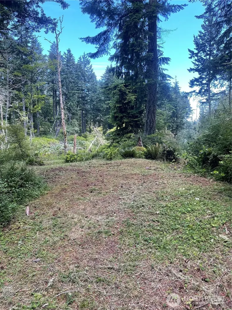 0 Reef Net Road Friday Harbor WA 98250