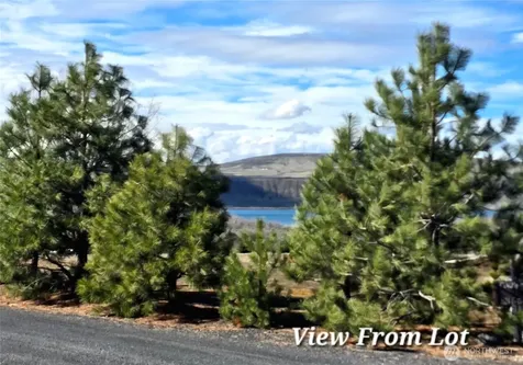 36579 NE Rd I.8 Coulee City WA 99115