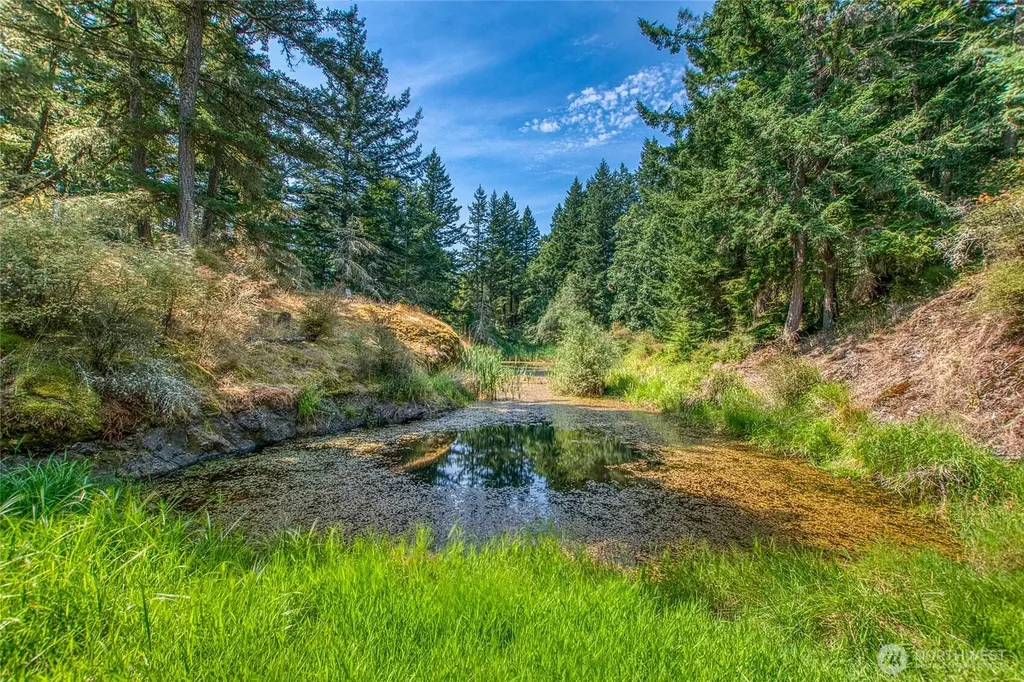 206 Upper Cow Hill Road Orcas Island WA 98279