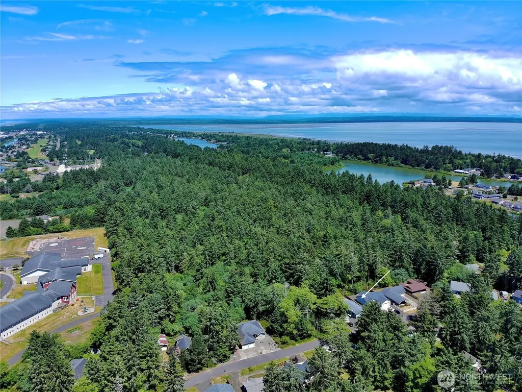 372 Eridani Loop SE Ocean Shores WA 98569