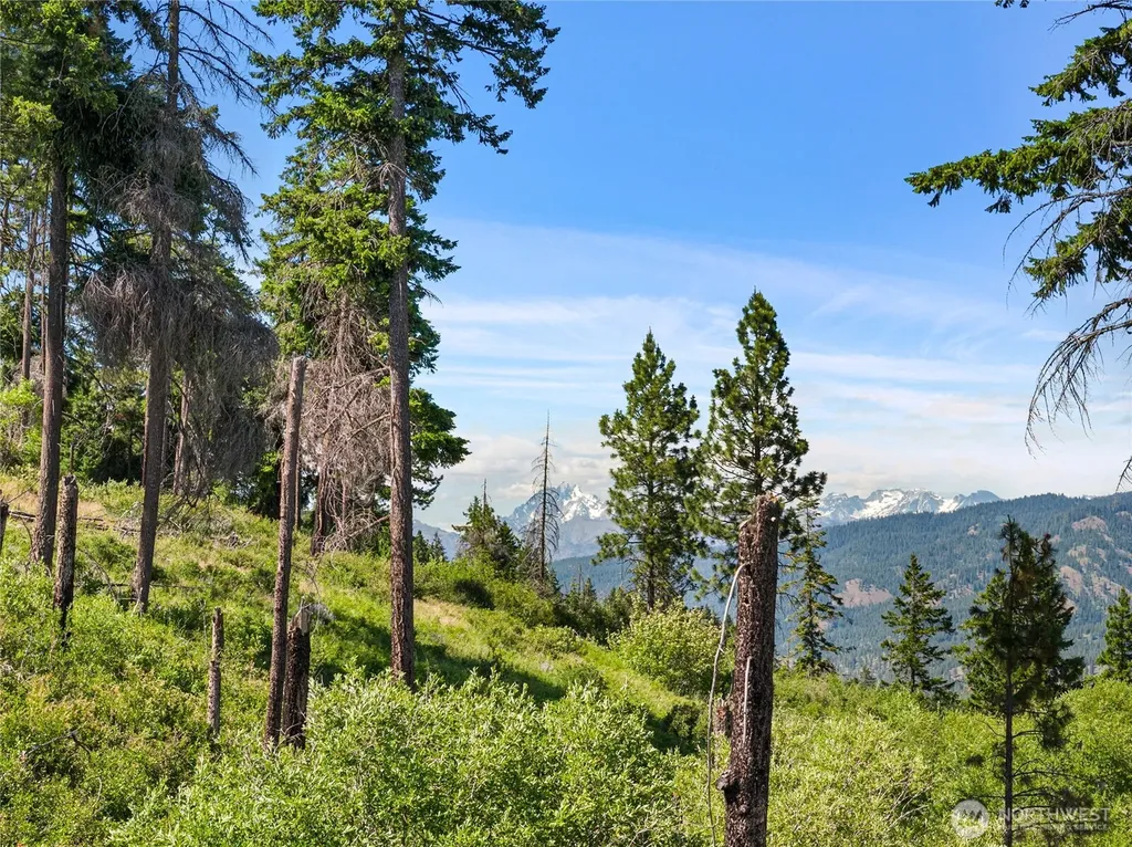 1321 Hazelnut Lane Cle Elum WA 98922