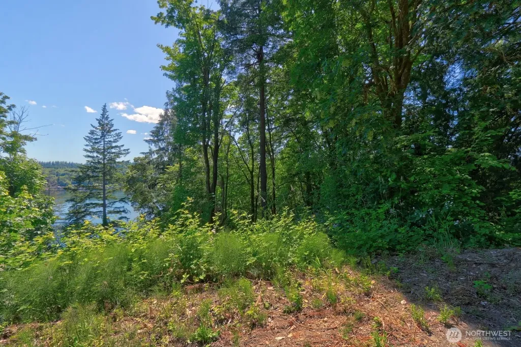 300 Bridger Lane Shelton WA 98584