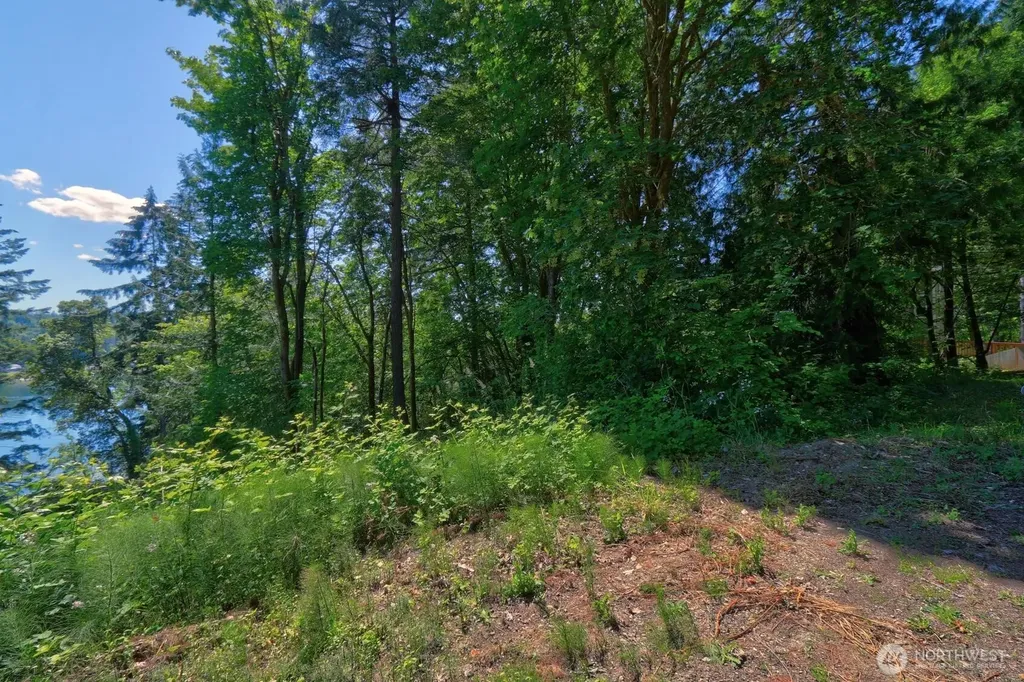 300 Bridger Lane Shelton WA 98584