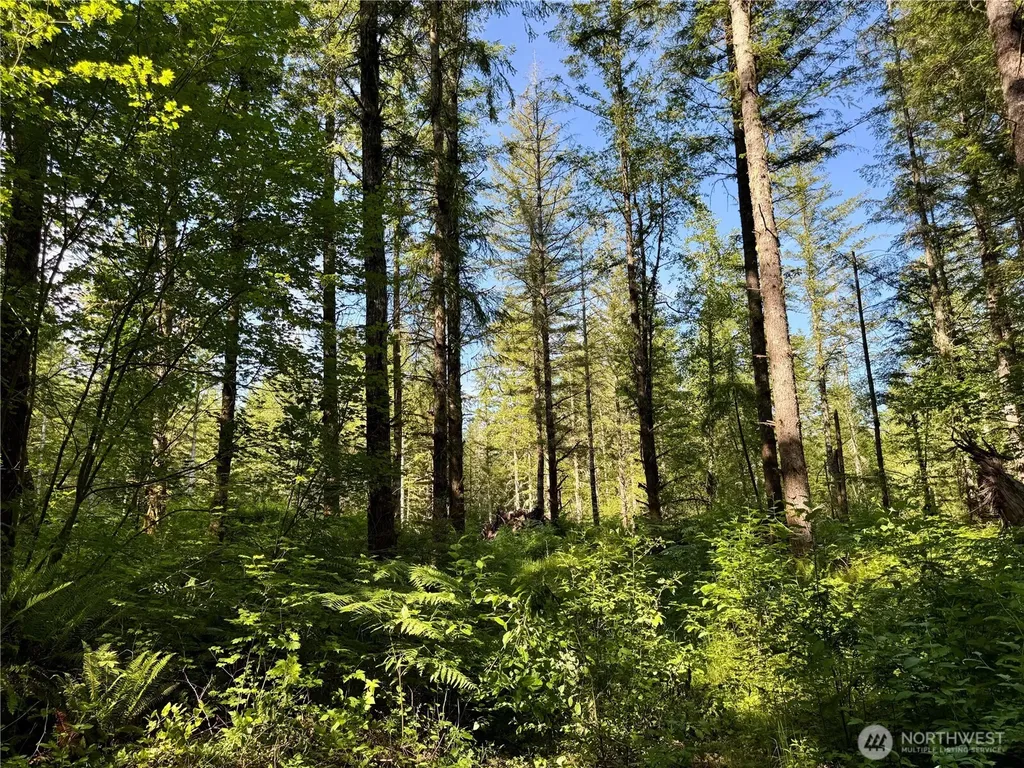 35186 294th Avenue SE Enumclaw WA 98022