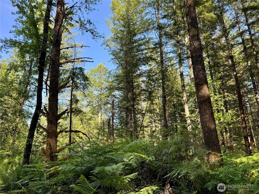 35186 294th Avenue SE Enumclaw WA 98022