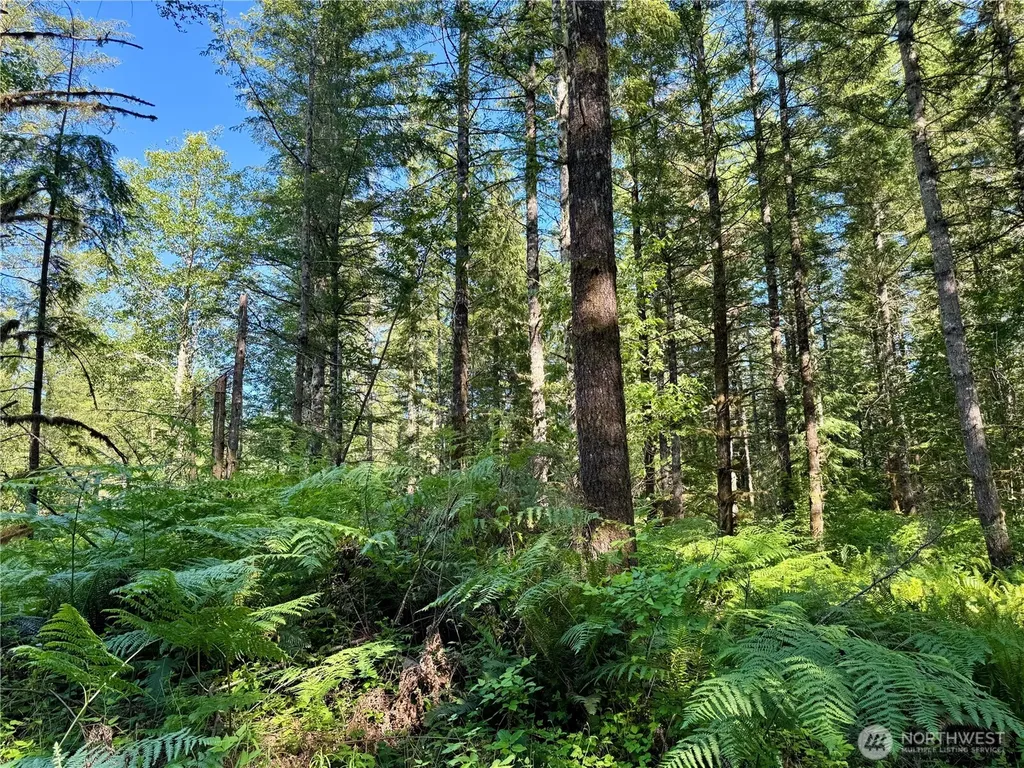 35186 294th Avenue SE Enumclaw WA 98022