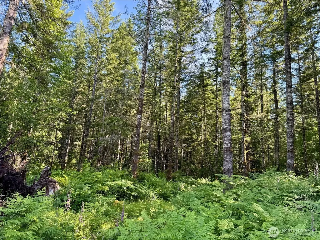 35186 294th Avenue SE Enumclaw WA 98022