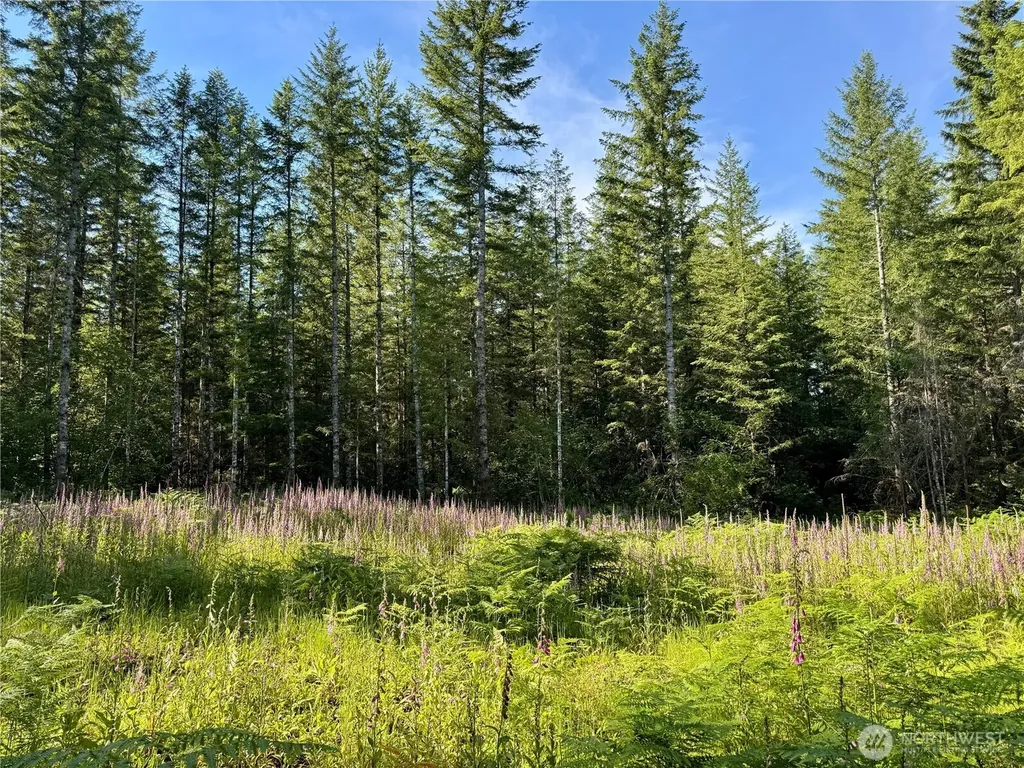 35186 294th Avenue SE Enumclaw WA 98022