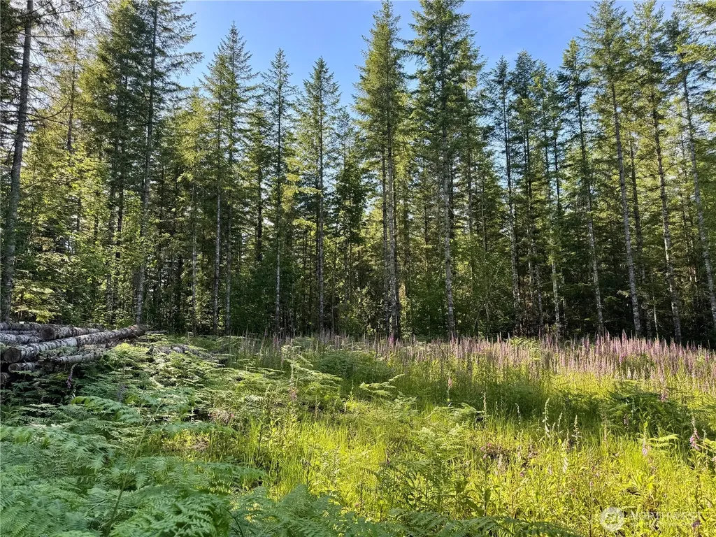 35186 294th Avenue SE Enumclaw WA 98022