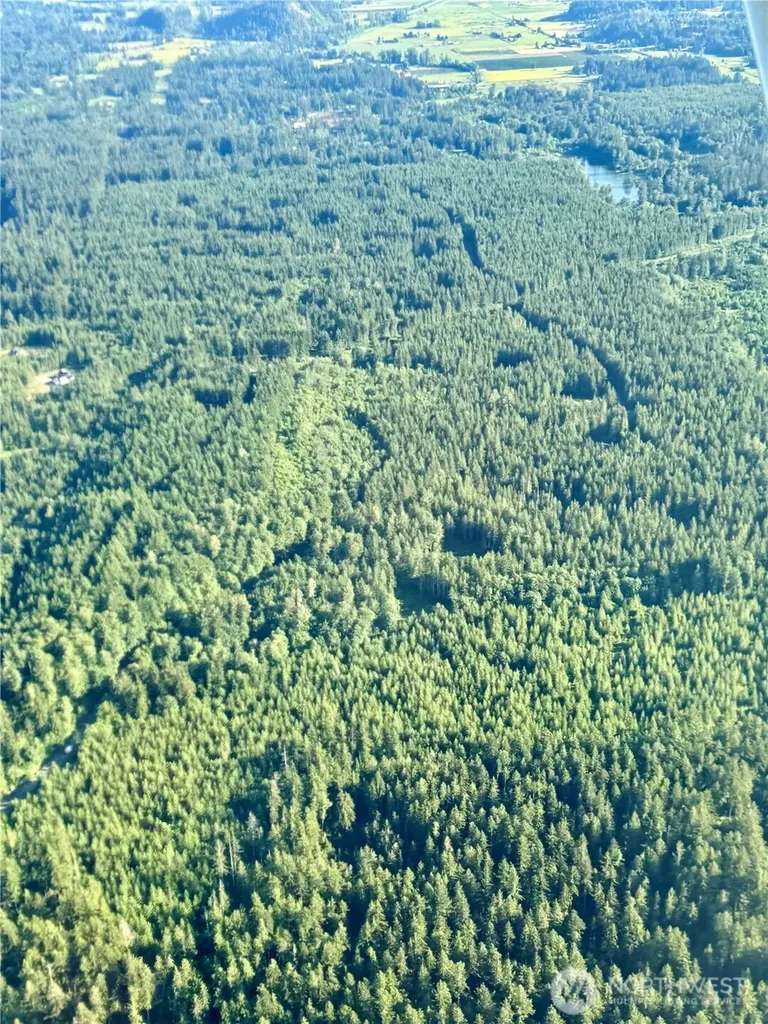 35186 294th Avenue SE Enumclaw WA 98022