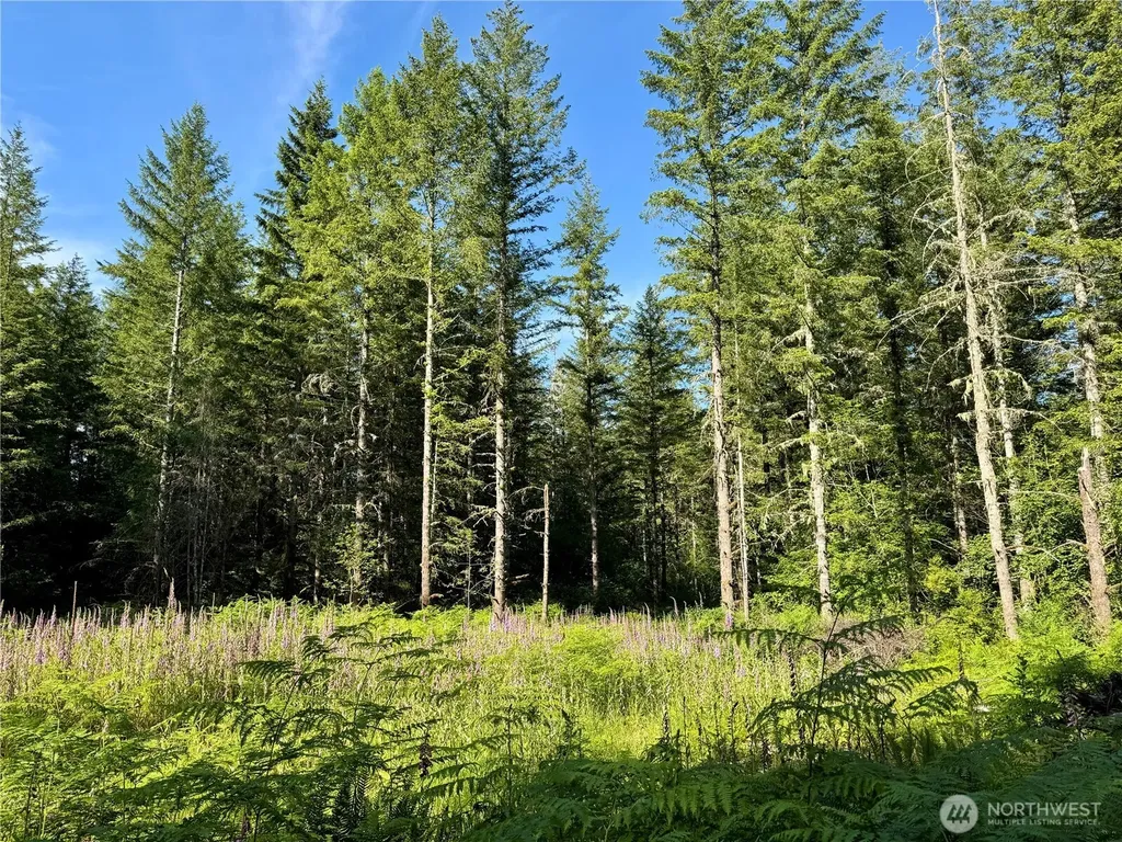 35186 294th Avenue SE Enumclaw WA 98022