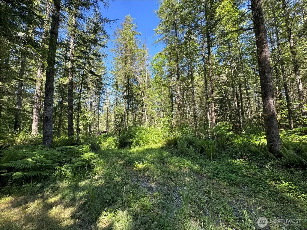 35186 294th Avenue SE Enumclaw WA 98022