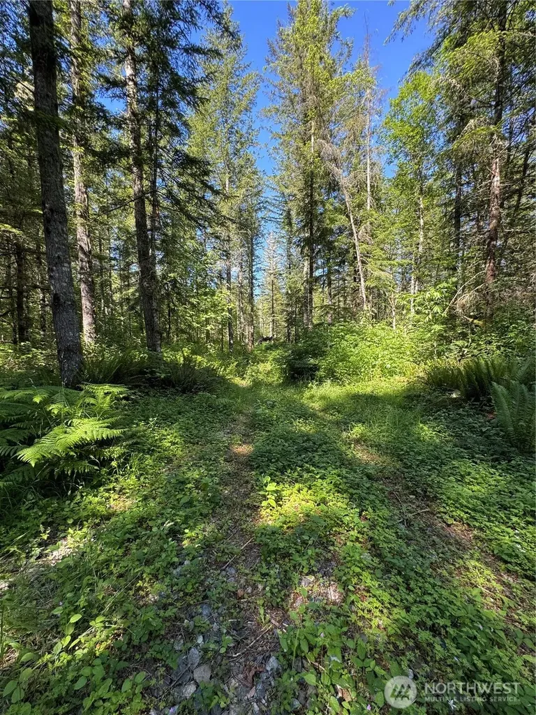 35186 294th Avenue SE Enumclaw WA 98022