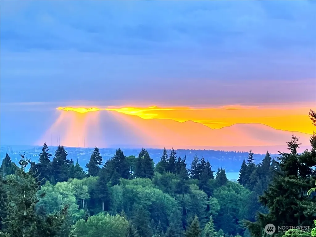 4730 154th Place SE Bellevue WA 98006