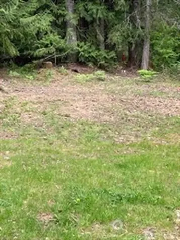 201 N Duckabush Drive E Hoodsport WA 98548