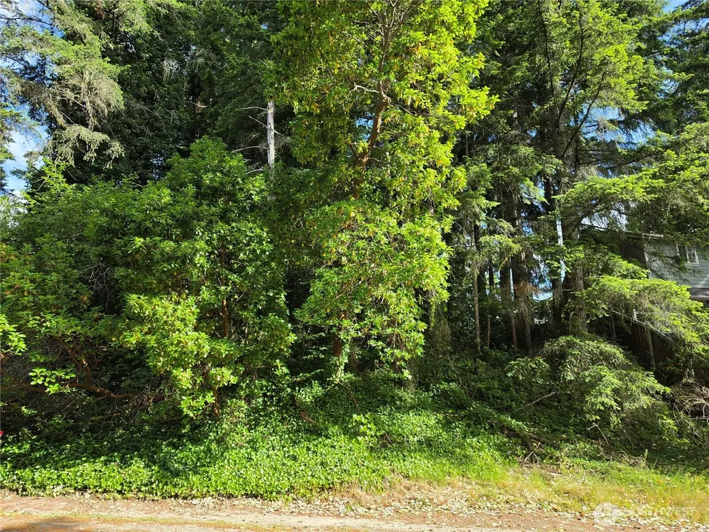 140 NE Matthew Drive Belfair WA 98528
