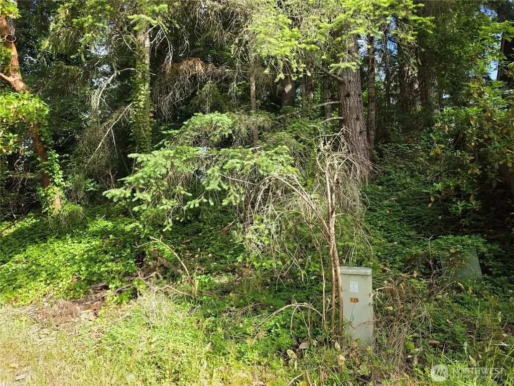 140 NE Matthew Drive Belfair WA 98528