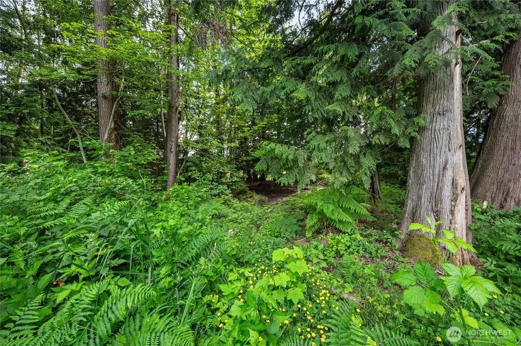 3233 Loomis Trail Road Custer WA 98240