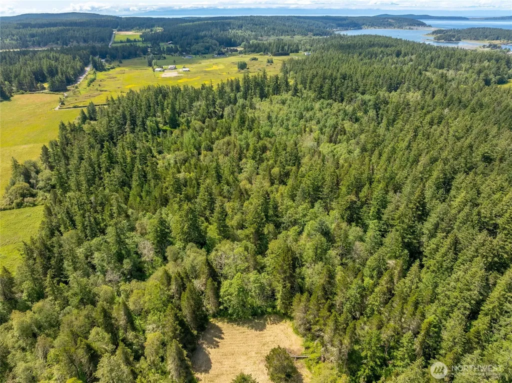 1486 Center Road Lopez Island WA 98261