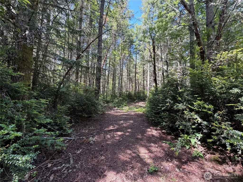 178 Geoduck Drive Quilcene WA 98376