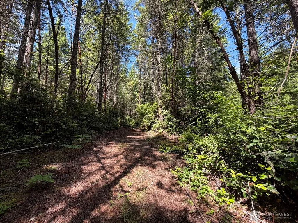 178 Geoduck Drive Quilcene WA 98376