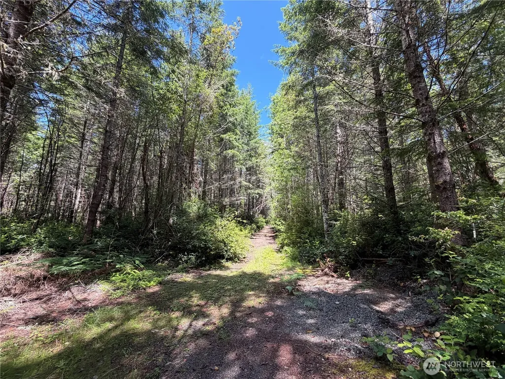178 Geoduck Drive Quilcene WA 98376