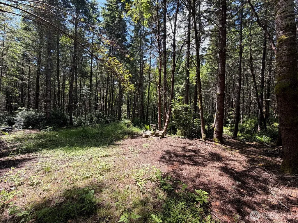 178 Geoduck Drive Quilcene WA 98376