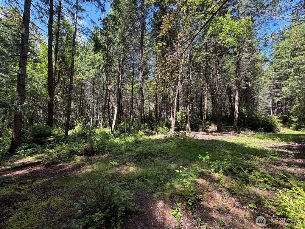 178 Geoduck Drive Quilcene WA 98376