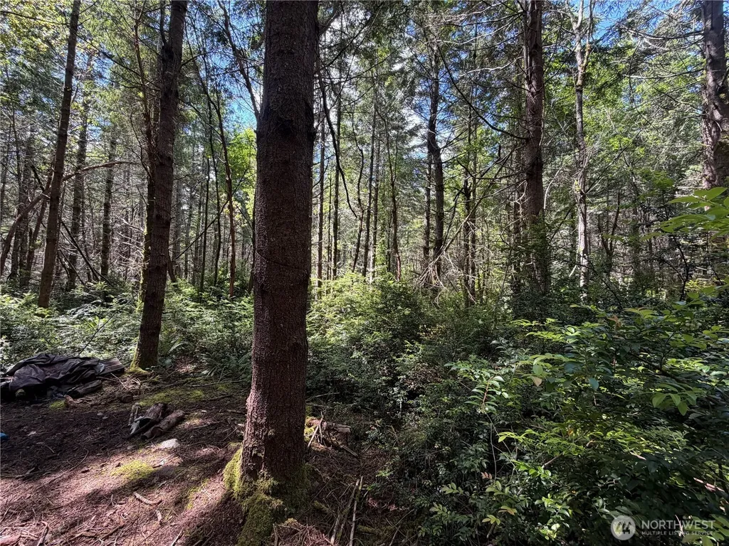 178 Geoduck Drive Quilcene WA 98376