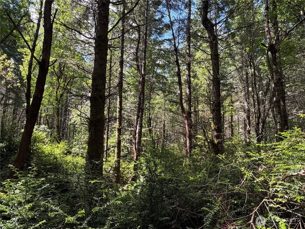 178 Geoduck Drive Quilcene WA 98376