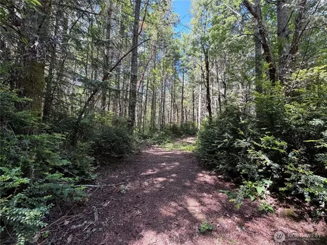 178 Geoduck Drive Quilcene WA 98376