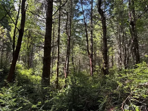 178 Geoduck Drive Quilcene WA 98376