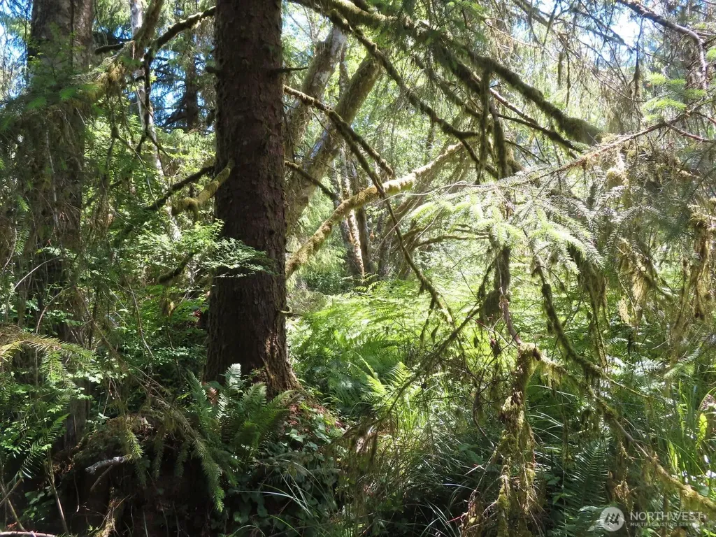 0 State Route 101 South Bend WA 98586