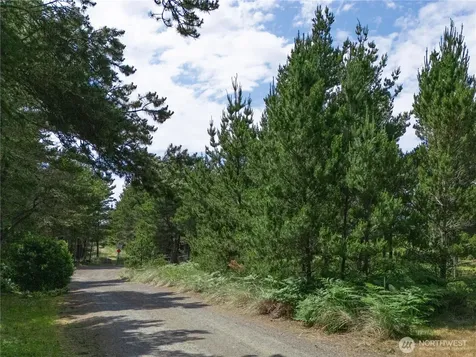 0 163rd Place Long Beach WA 98631