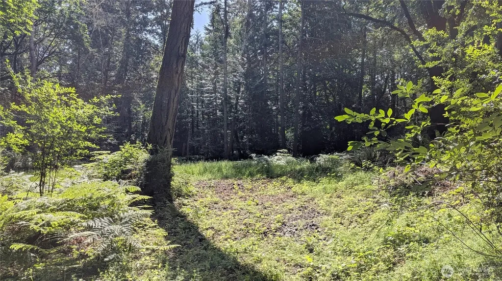 1629 148th Avenue SW Lakebay WA 98349