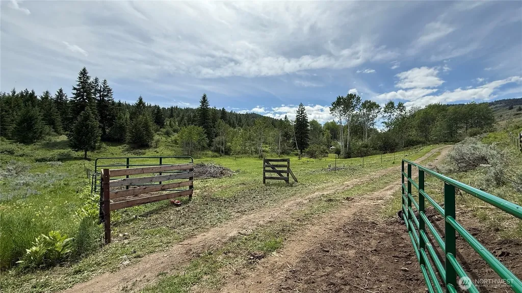 1066 A Ellemeham Mountain Road Oroville WA 98844