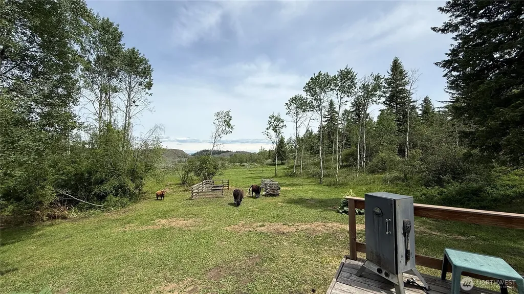1066 A Ellemeham Mountain Road Oroville WA 98844