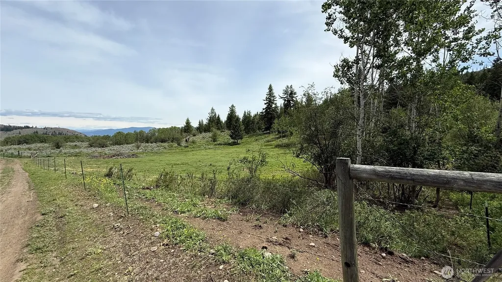 1066 A Ellemeham Mountain Road Oroville WA 98844