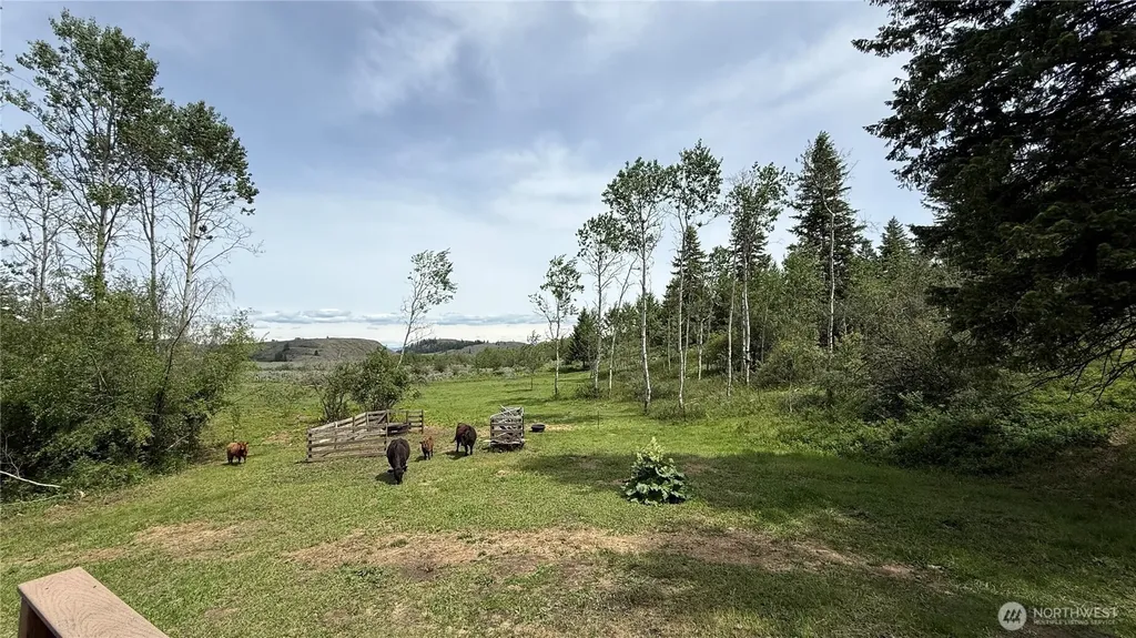 1066 A Ellemeham Mountain Road Oroville WA 98844