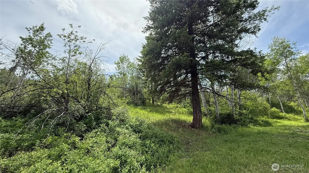 1066 Ellemeham Mountain Road Oroville WA 98844