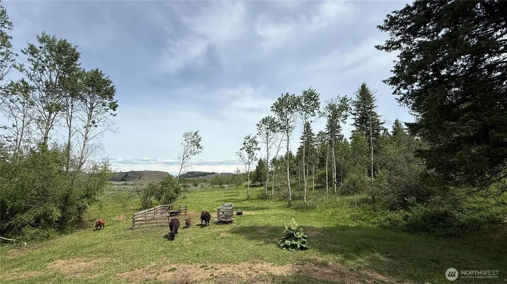 1066 A Ellemeham Mountain Road Oroville WA 98844