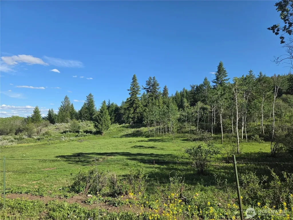 1066 A Ellemeham Mountain Road Oroville WA 98844