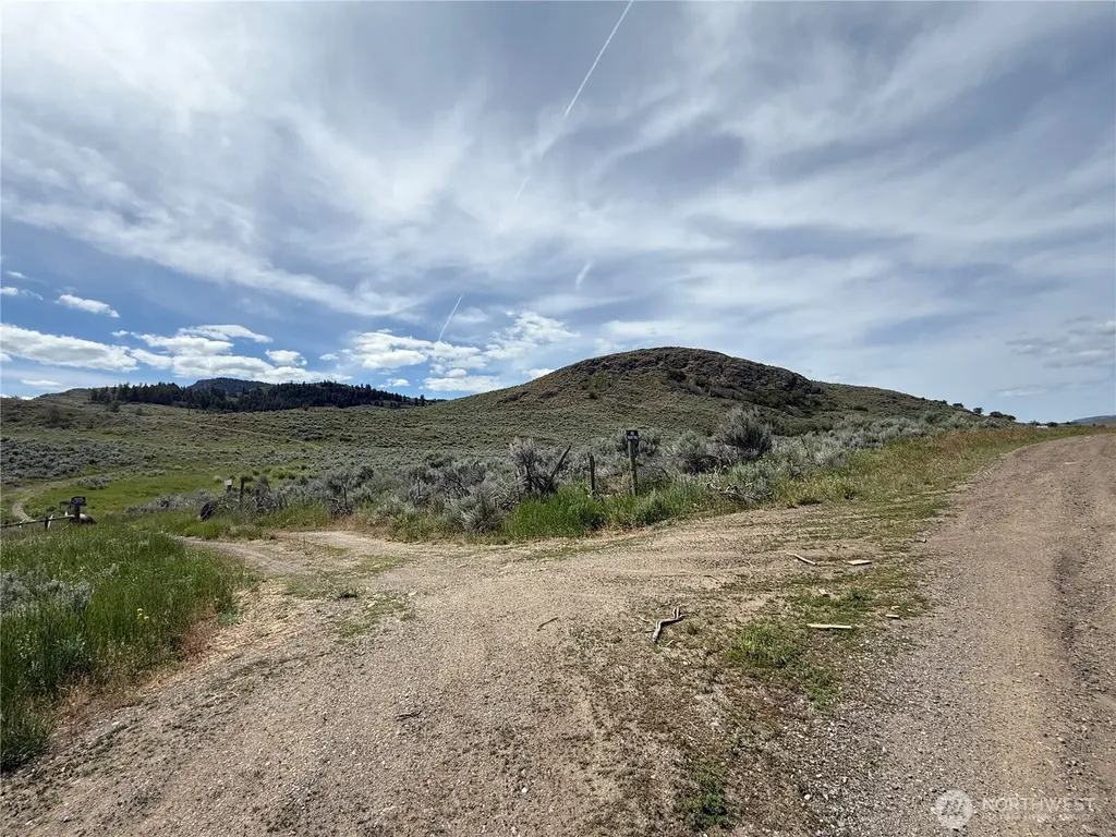 1066 Ellemeham Mountain Road Oroville WA 98844